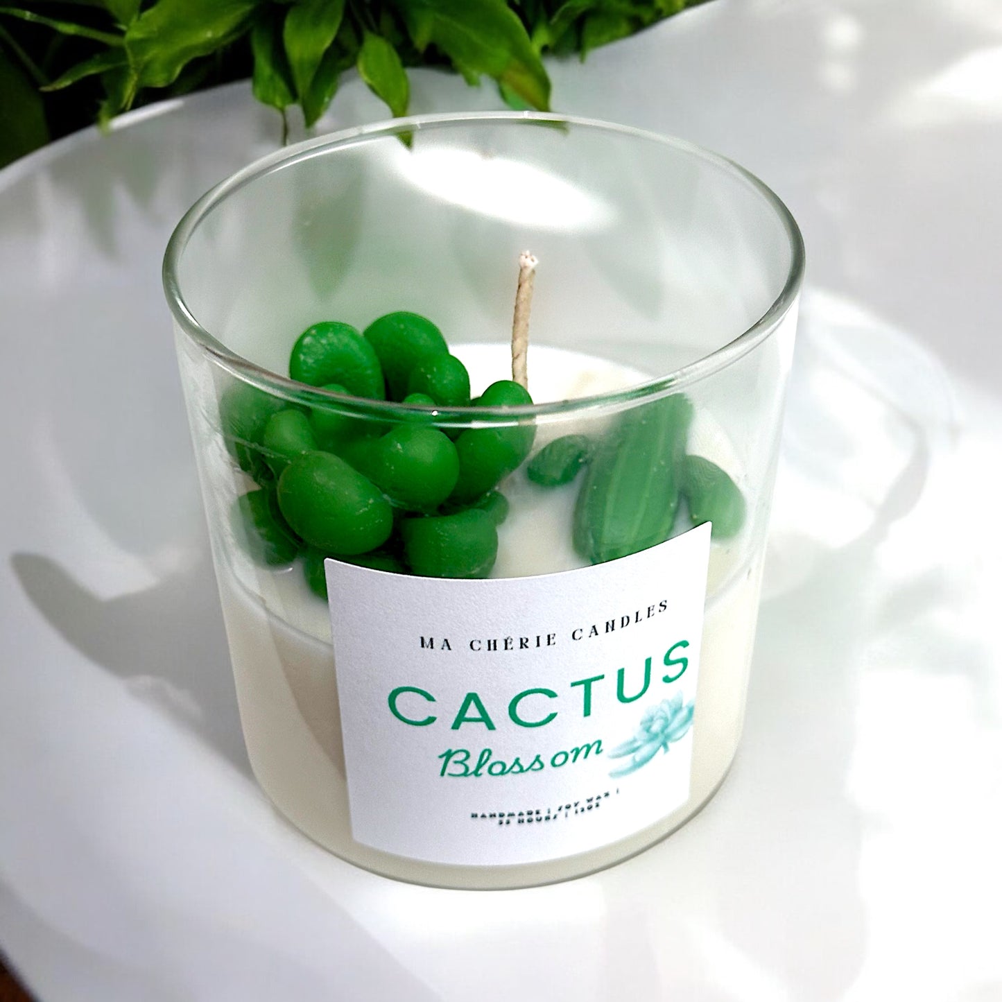 Cactus Blossom - 12oz